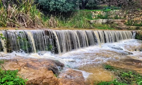 בר מצווה בטבע ליד ירושלים