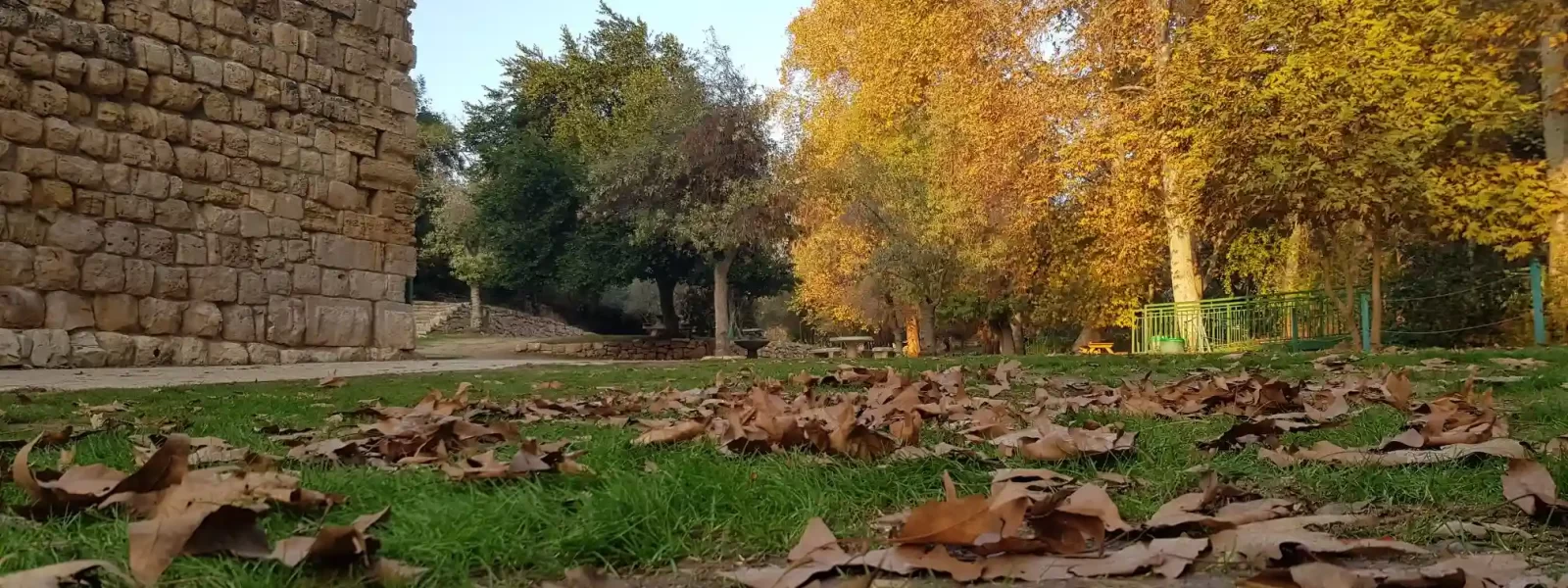 הצעת נישואין בטבע במרכז