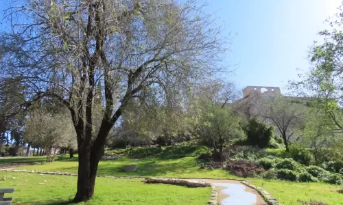 מקום לאירועים עד 200 איש בטבע